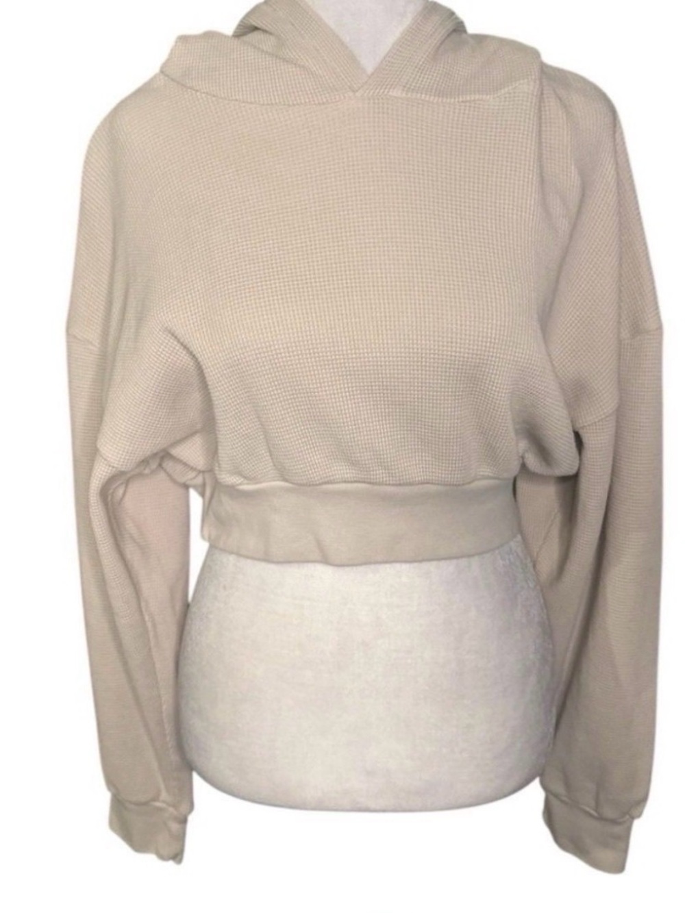 TALENTLESS Cropped Waffle-Knit Hoodie in Beige - Size M